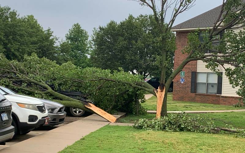 Saturday storm downed limbs and took out power; AC will do limb pick up Tues.