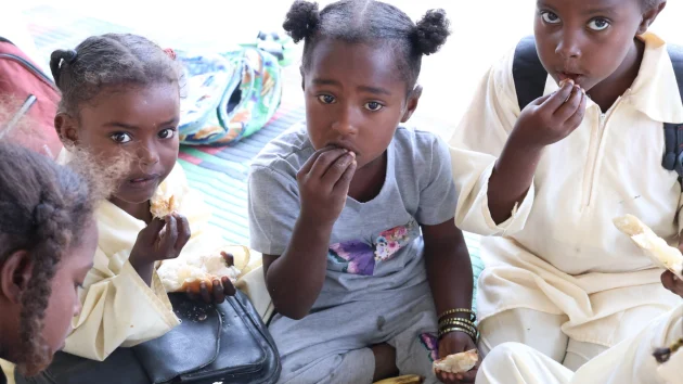 Sudan has become a ‘case study’ for the impact of USAID cuts, aid worker says