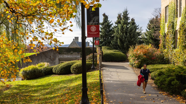 Cornell University agrees to pay $60M in deal with Trump administration over frozen research funds