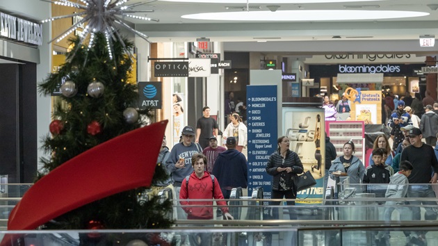 What did holiday shopping reveal about the US economy?