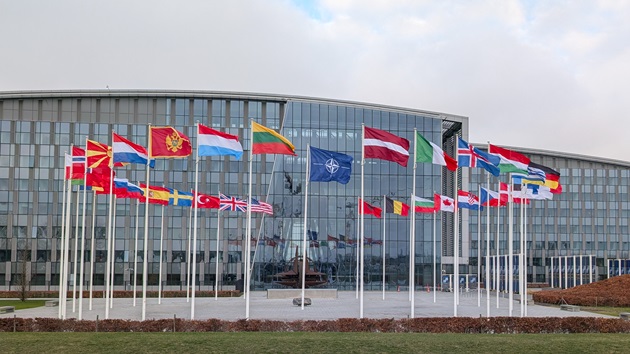 EU leaders talk coordination over Greenland as Trump readies for Davos meetings