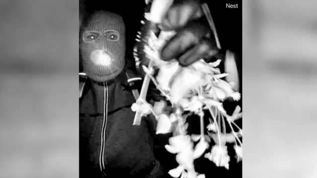 Nancy Guthrie disappearance: FBI Director Kash Patel releases images, video of ‘armed individual’