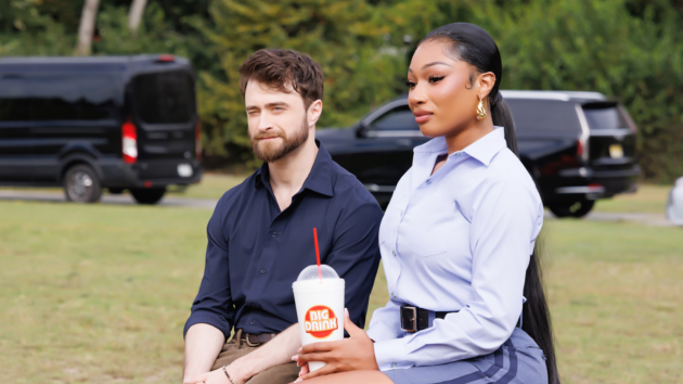 Megan Thee Stallion plays a recently divorced mom in ‘The Fall and Rise of Reggie Dinkins’