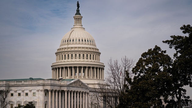 Person with what appears to be a gun arrested outside US Capitol: Police