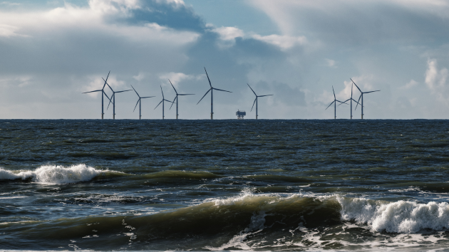 Wind power will continue to grow, despite Trump administration’s attempts to halt renewable energy: Experts