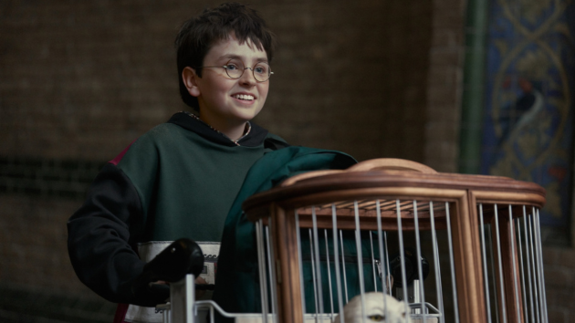 ‘Harry Potter’ HBO series renewed for season 2 months ahead of premiere