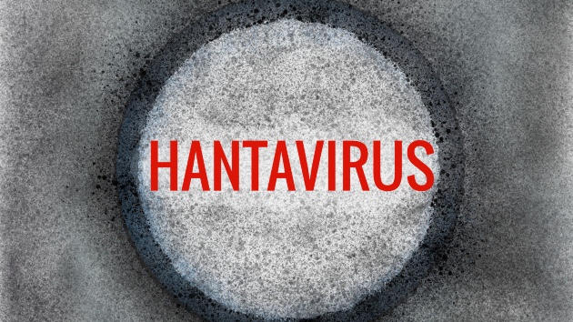 3 evacuated off cruise ship with suspected hantavirus cluster, WHO says