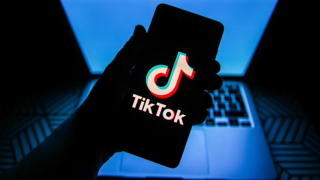 TikTok antagonist allegedly stabs 17-year-old to death on New York City street: Police